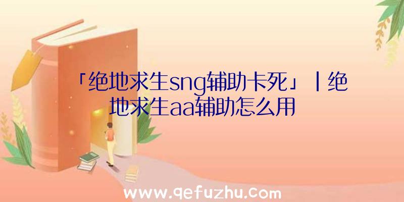 「绝地求生sng辅助卡死」|绝地求生aa辅助怎么用